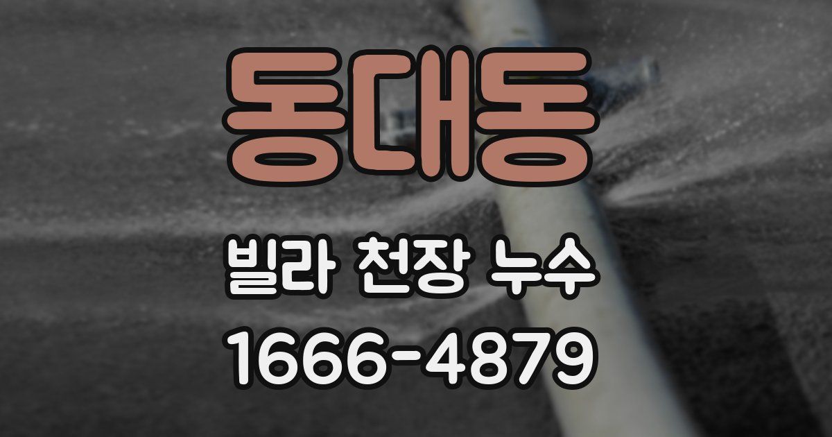 동대동 빌라 천장 누수