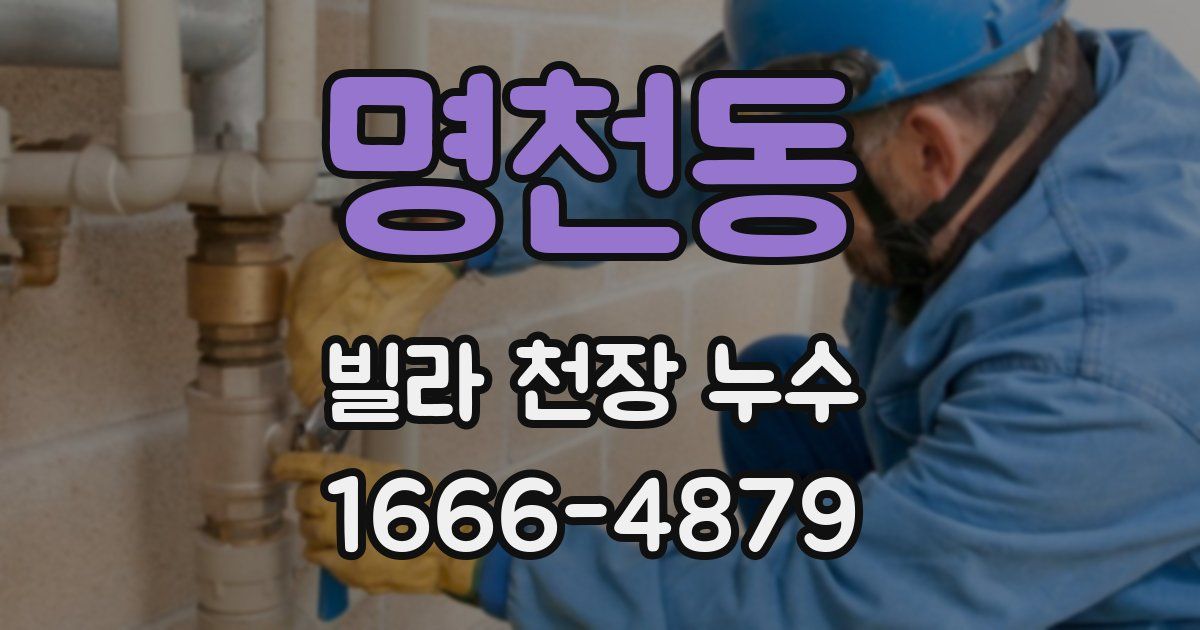 명천동 빌라 천장 누수