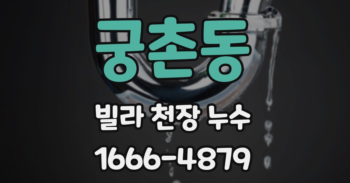 궁촌동 빌라 천장 누수