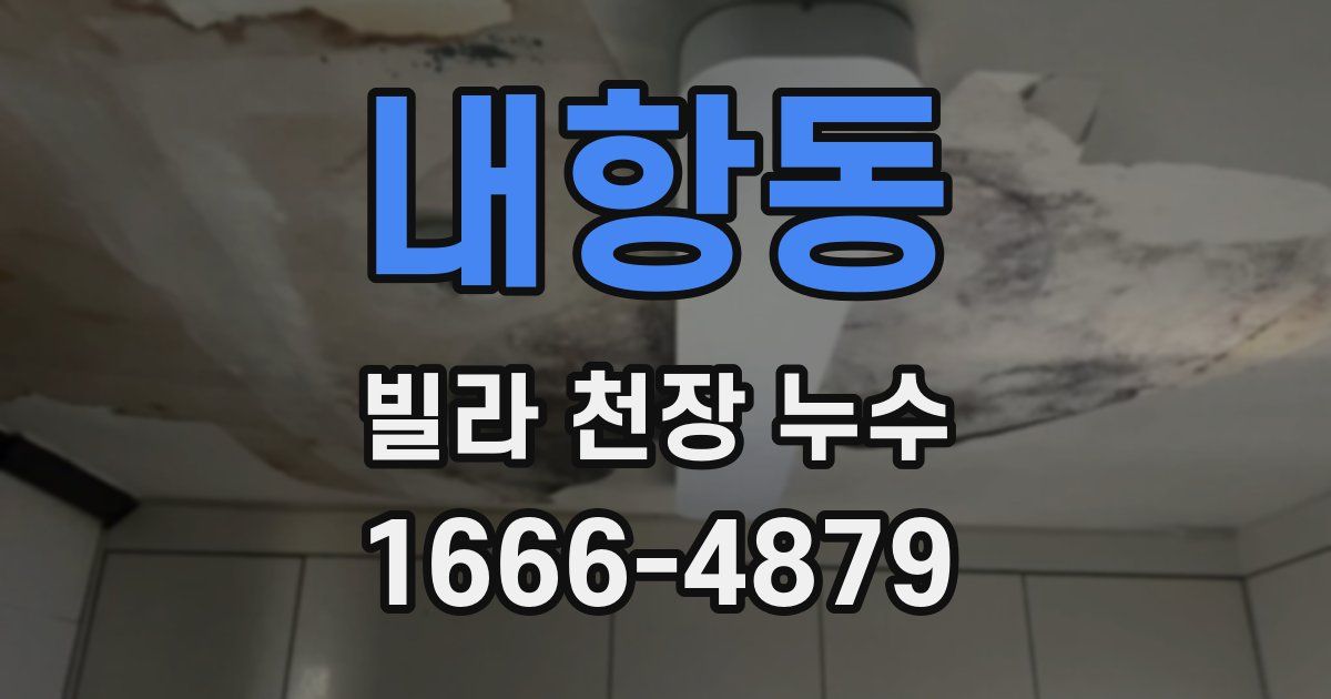내항동 빌라 천장 누수