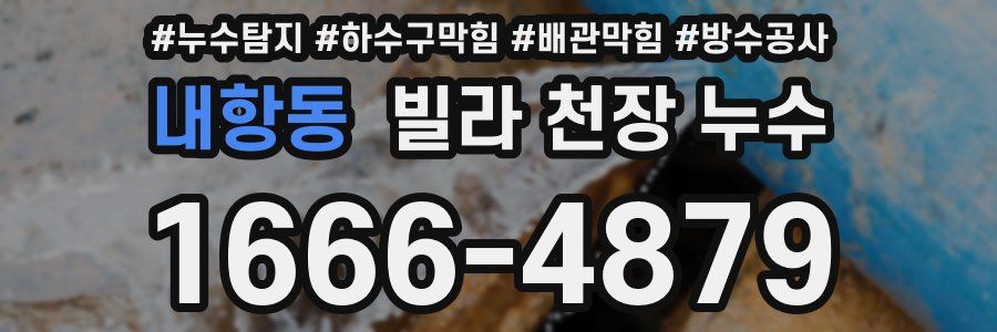 내항동 빌라 천장 누수