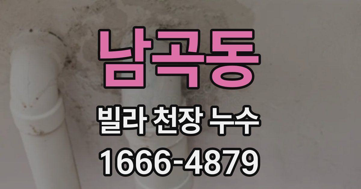 남곡동 빌라 천장 누수