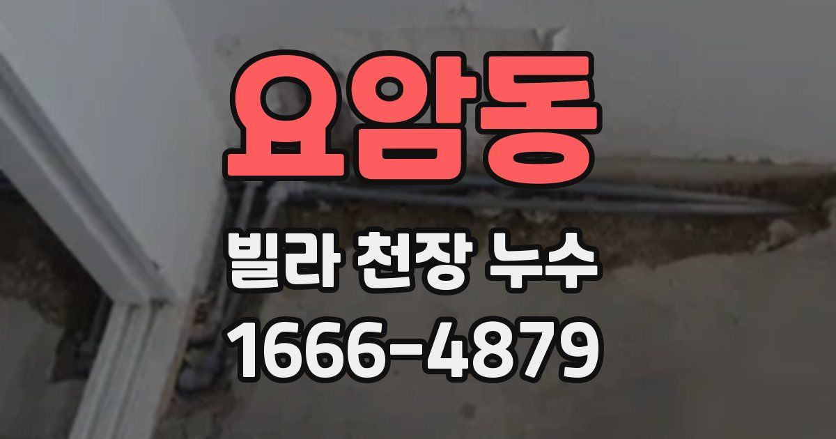 요암동 빌라 천장 누수