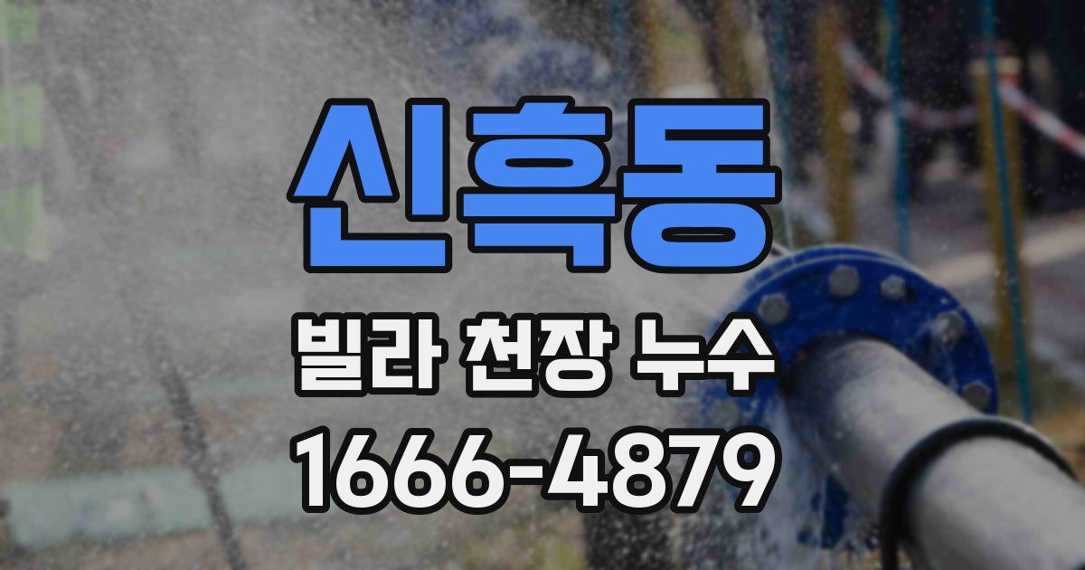 신흑동 빌라 천장 누수