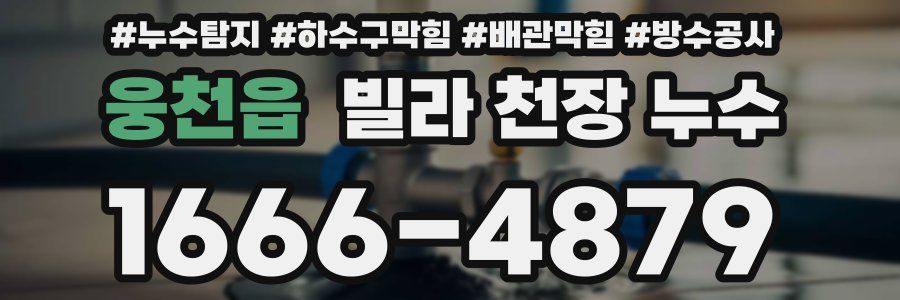 웅천읍 빌라 천장 누수