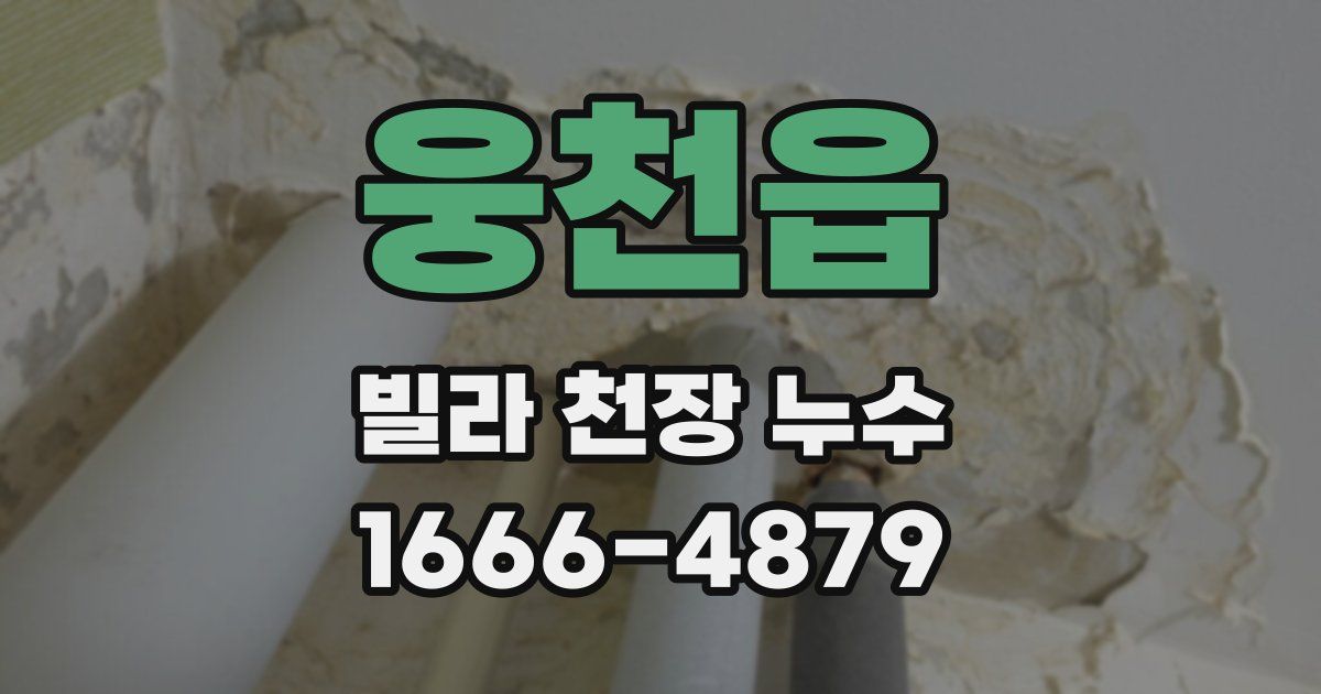 웅천읍 빌라 천장 누수