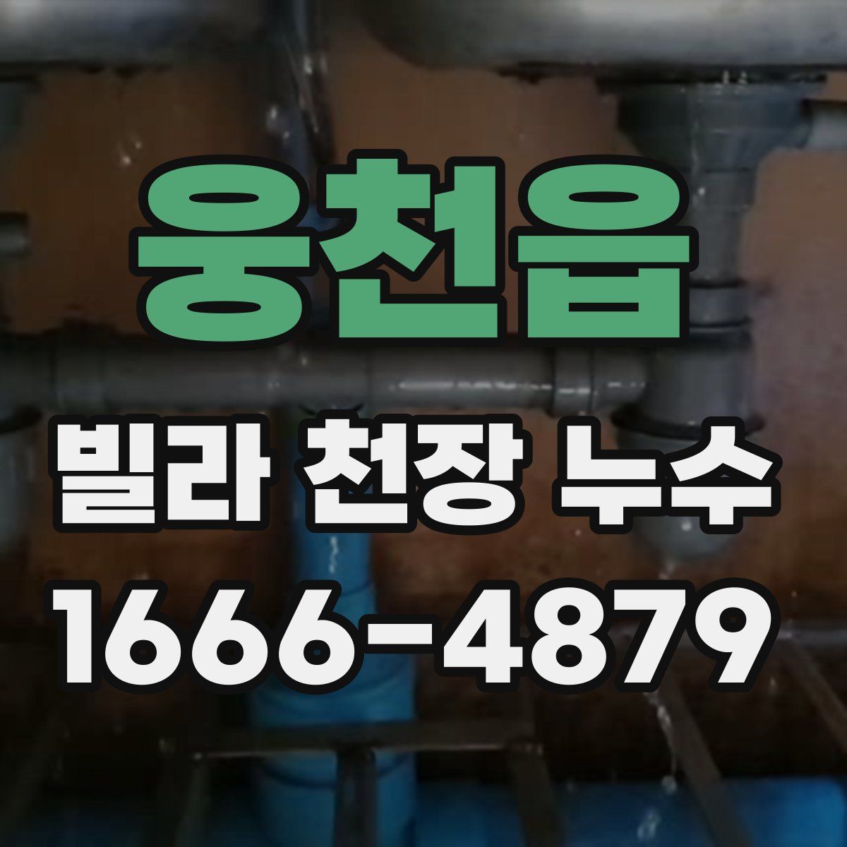 웅천읍 빌라 천장 누수