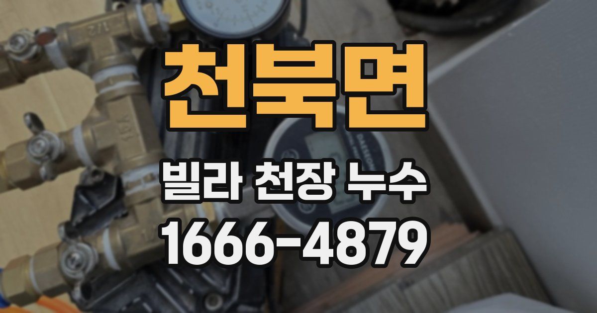 천북면 빌라 천장 누수