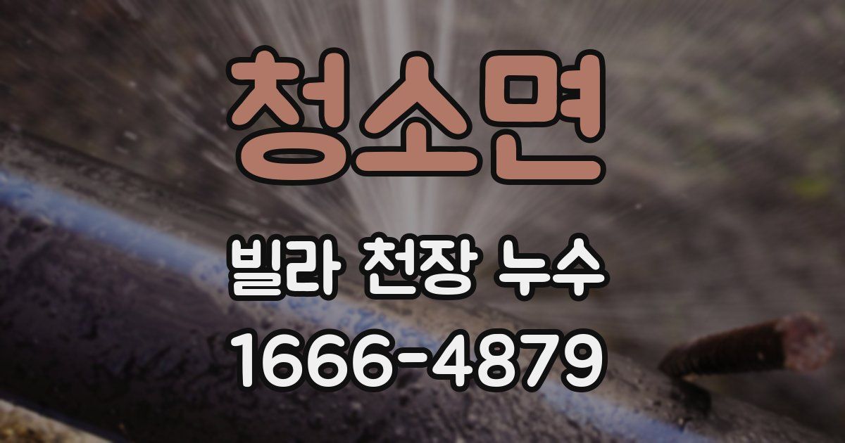 청소면 빌라 천장 누수