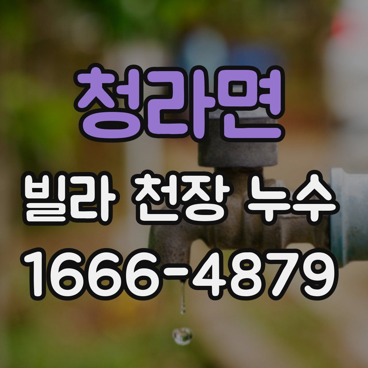 청라면 빌라 천장 누수