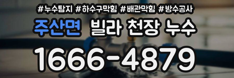 주산면 빌라 천장 누수