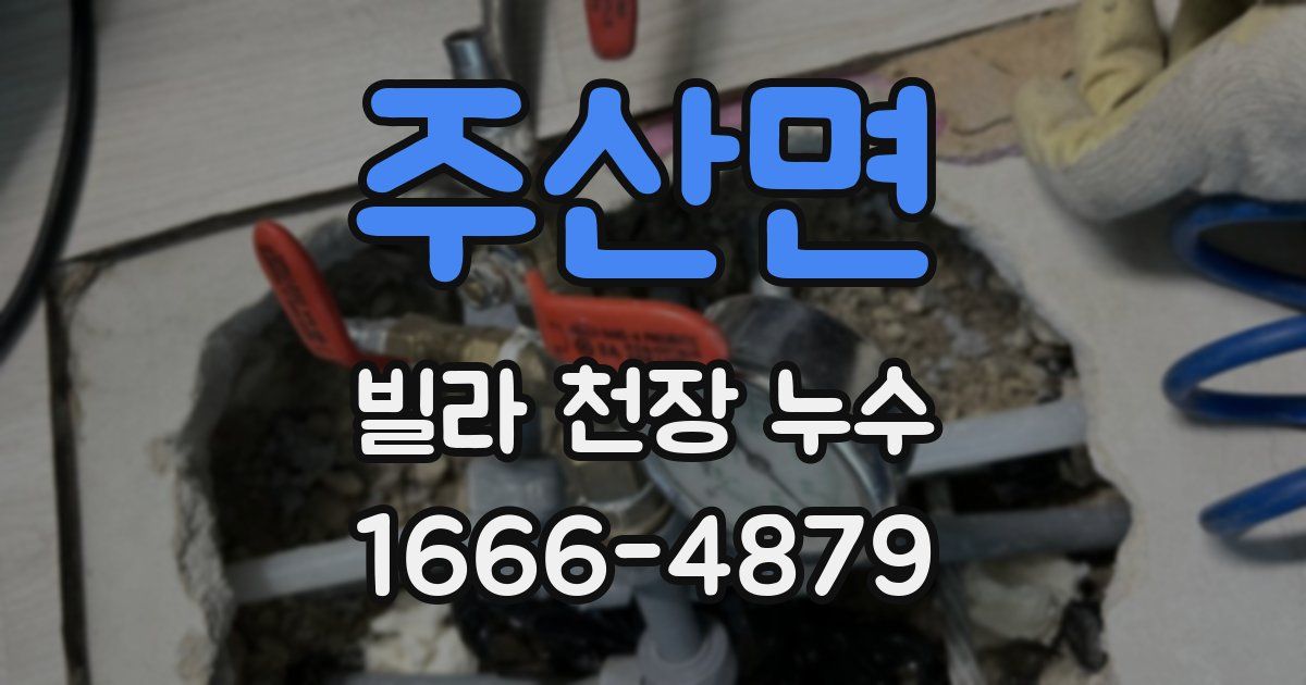주산면 빌라 천장 누수