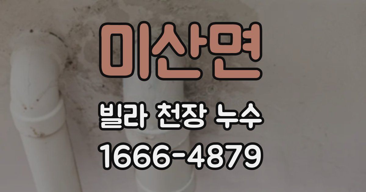 미산면 빌라 천장 누수