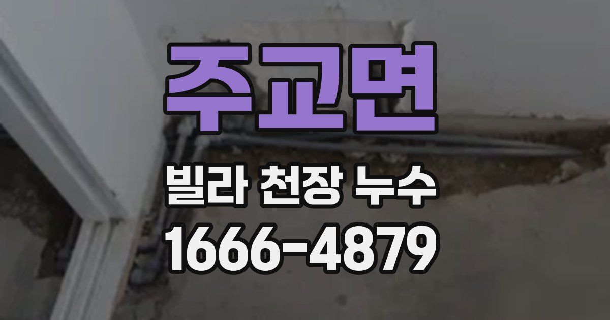 주교면 빌라 천장 누수