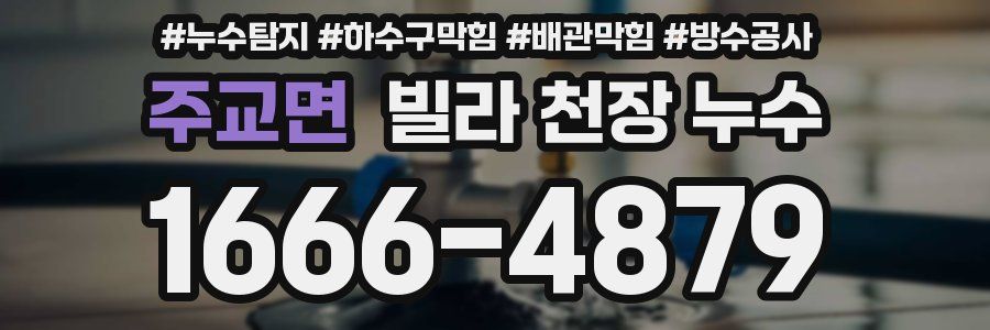 주교면 빌라 천장 누수