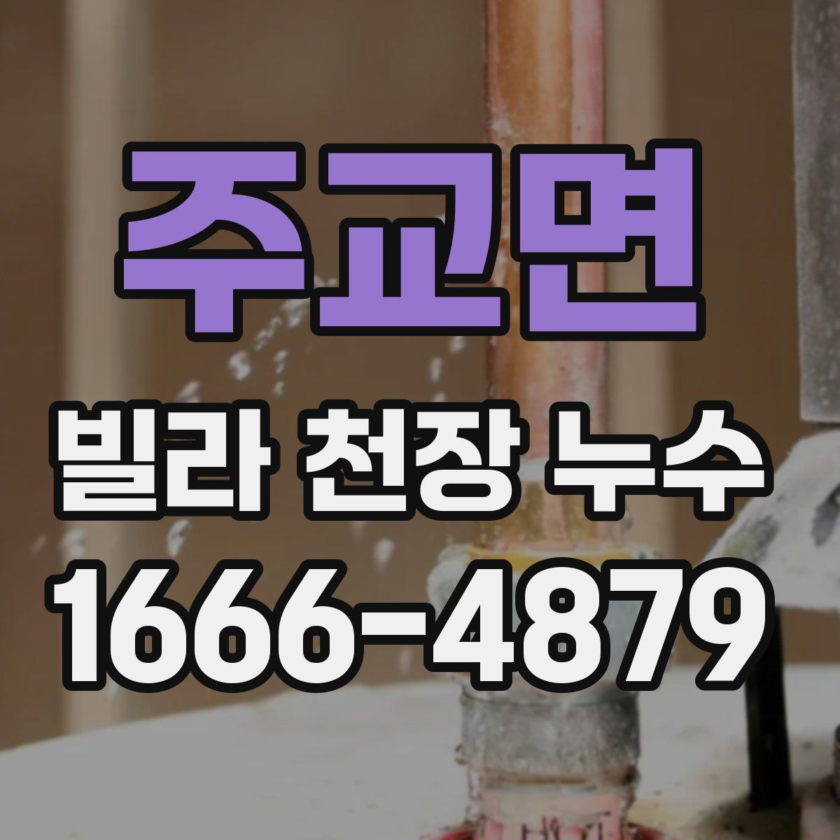 주교면 빌라 천장 누수