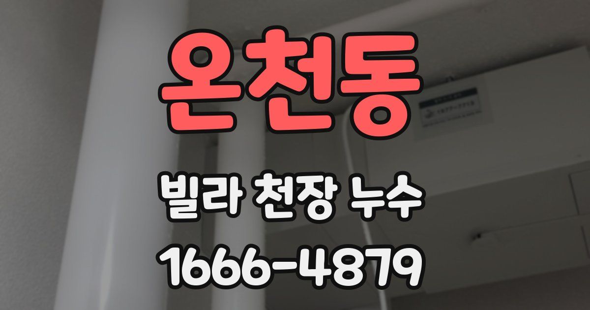 온천동 빌라 천장 누수