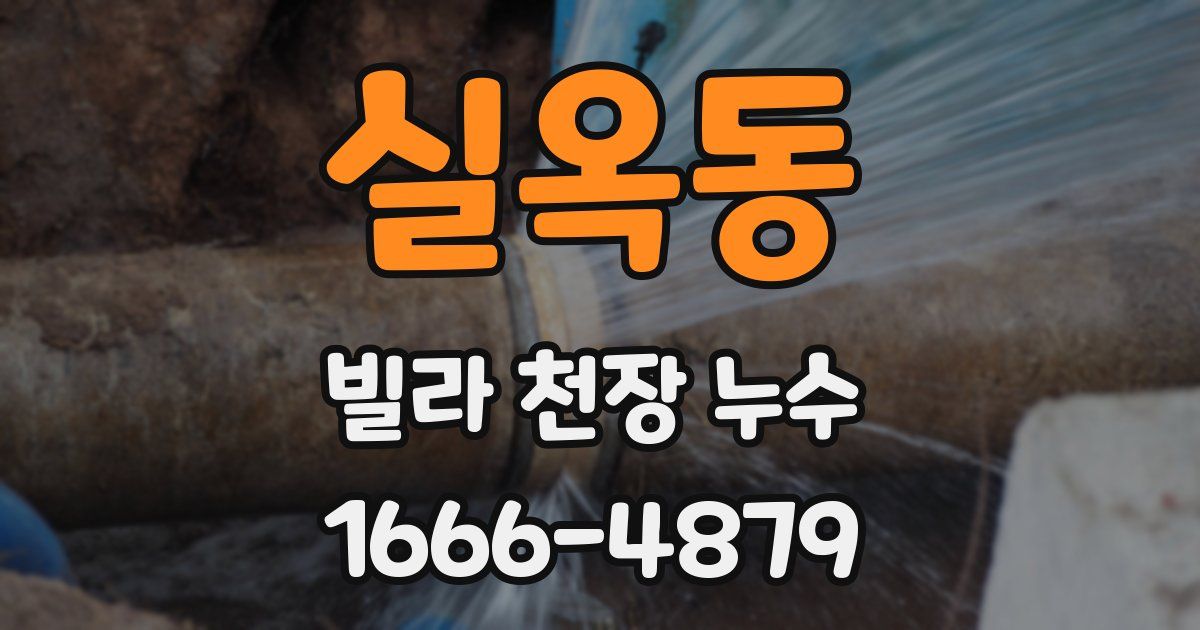 실옥동 빌라 천장 누수