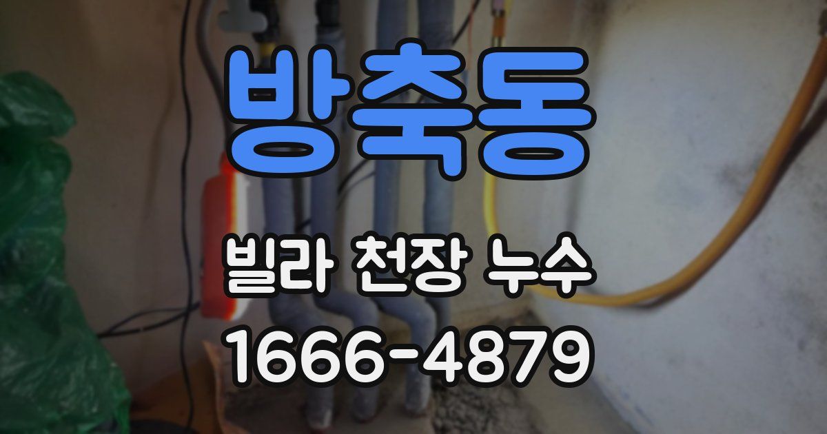 방축동 빌라 천장 누수