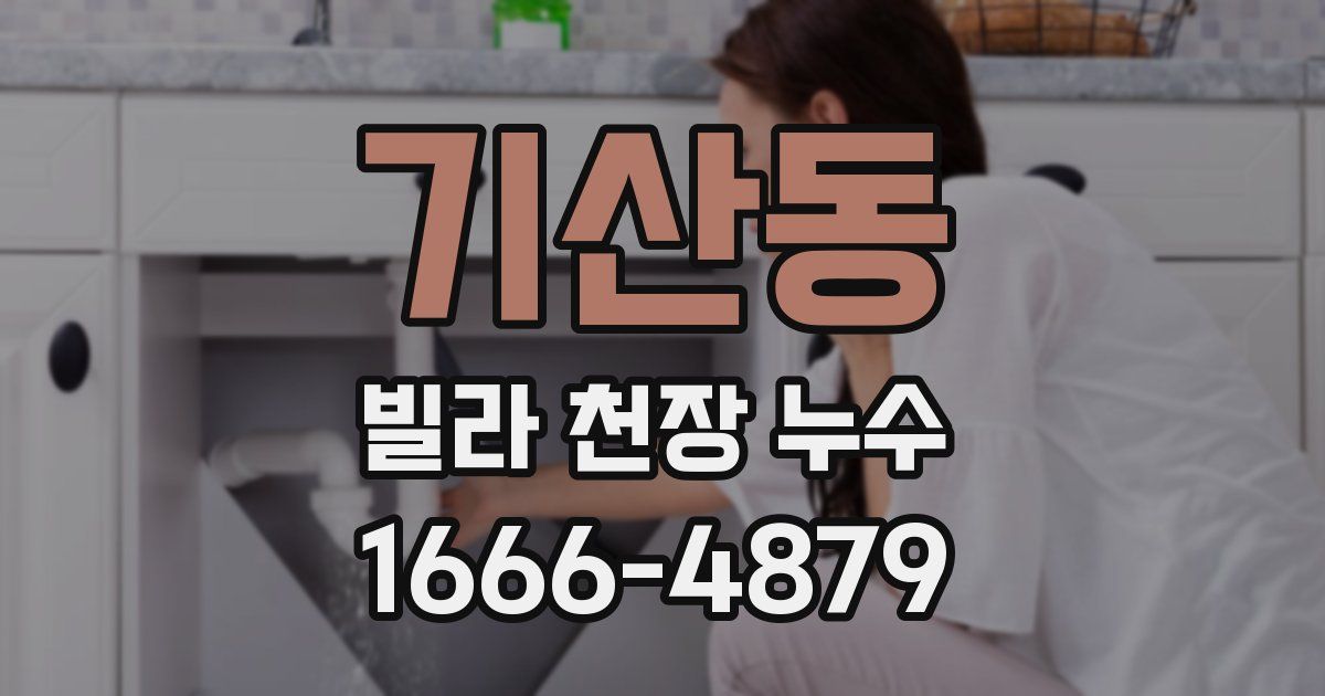 기산동 빌라 천장 누수