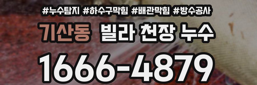 기산동 빌라 천장 누수
