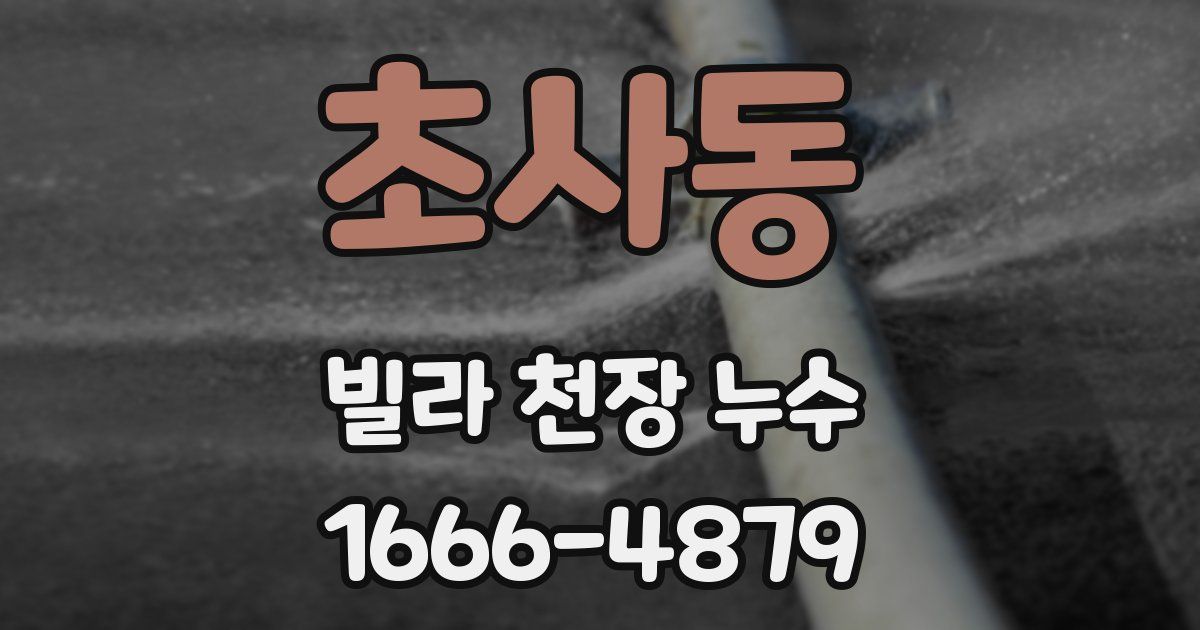 초사동 빌라 천장 누수