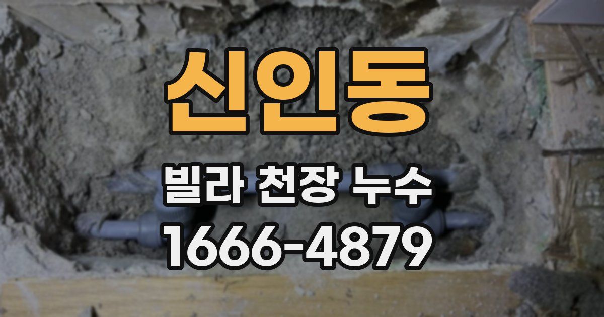 신인동 빌라 천장 누수