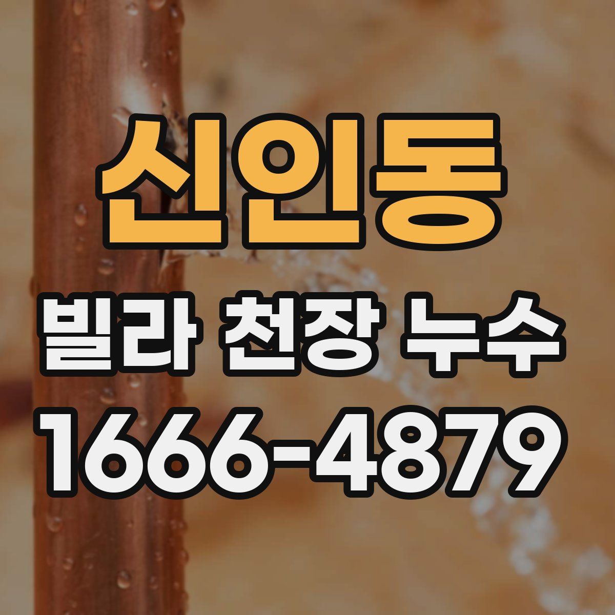 신인동 빌라 천장 누수