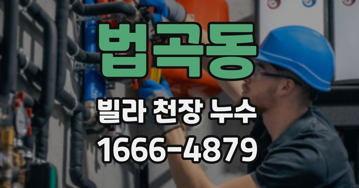 법곡동 빌라 천장 누수