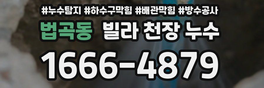 법곡동 빌라 천장 누수
