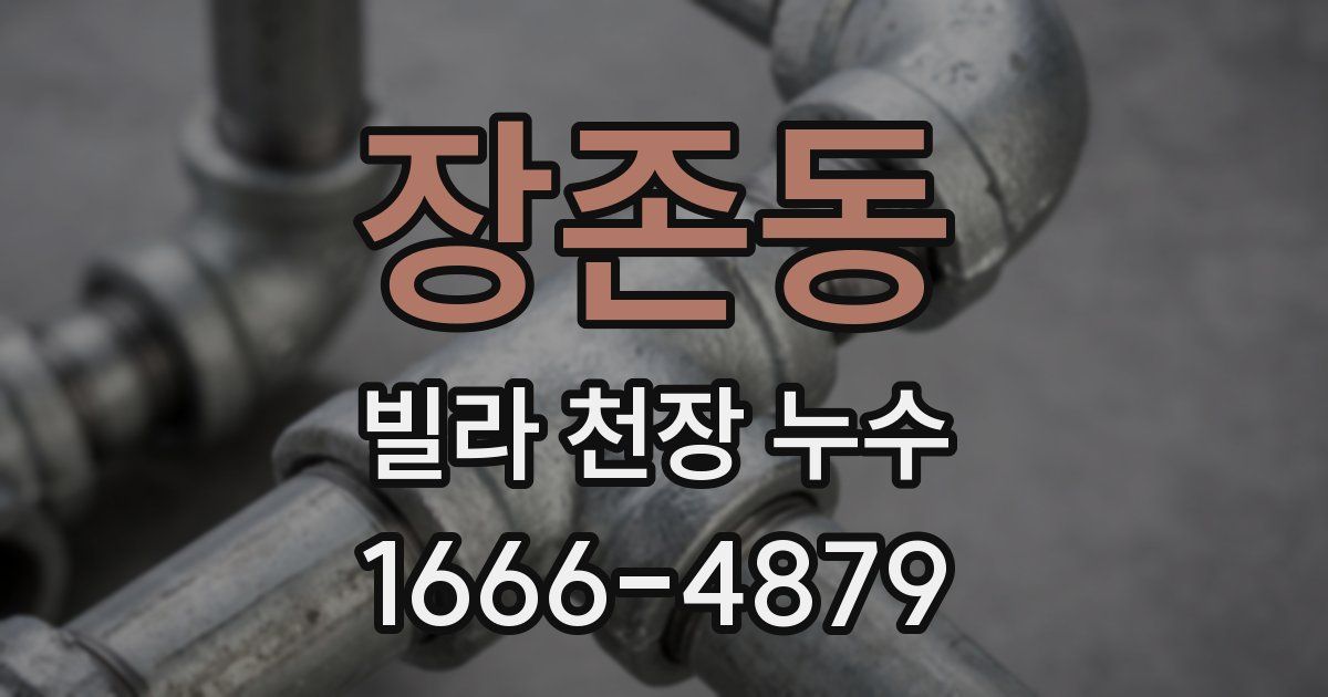 장존동 빌라 천장 누수