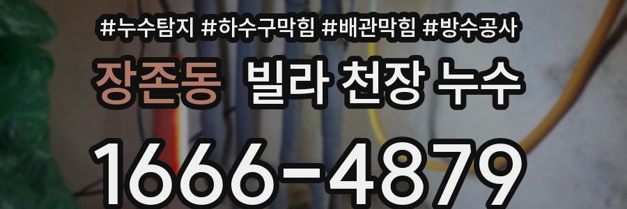 장존동 빌라 천장 누수