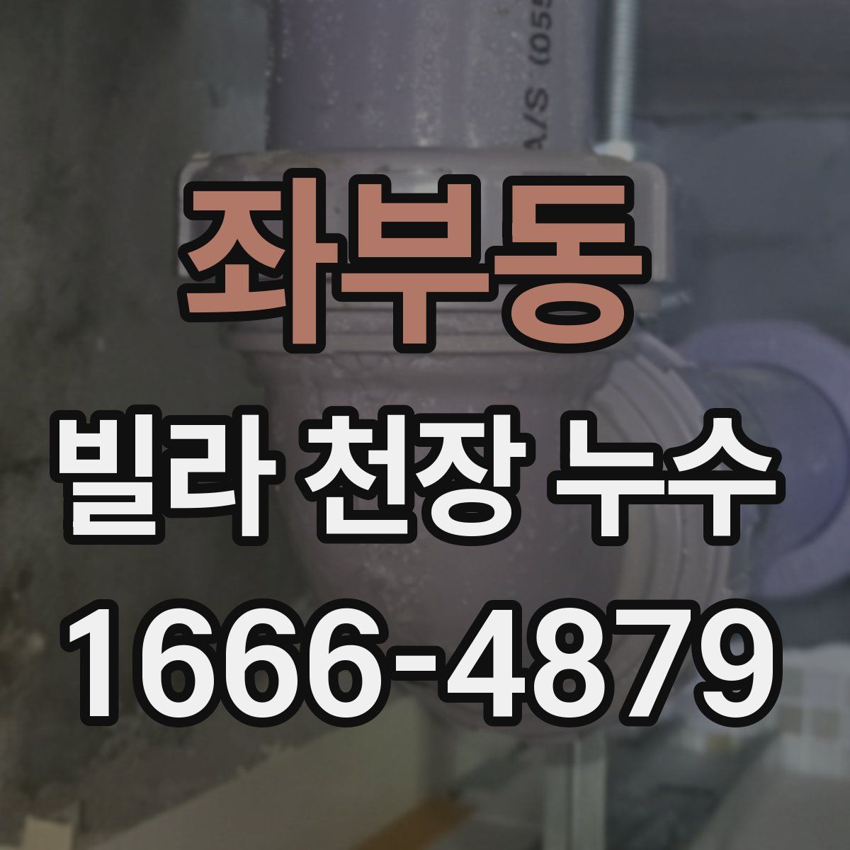 좌부동 빌라 천장 누수
