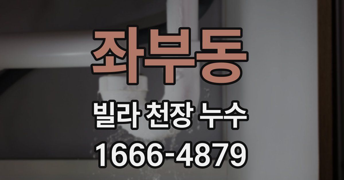 좌부동 빌라 천장 누수