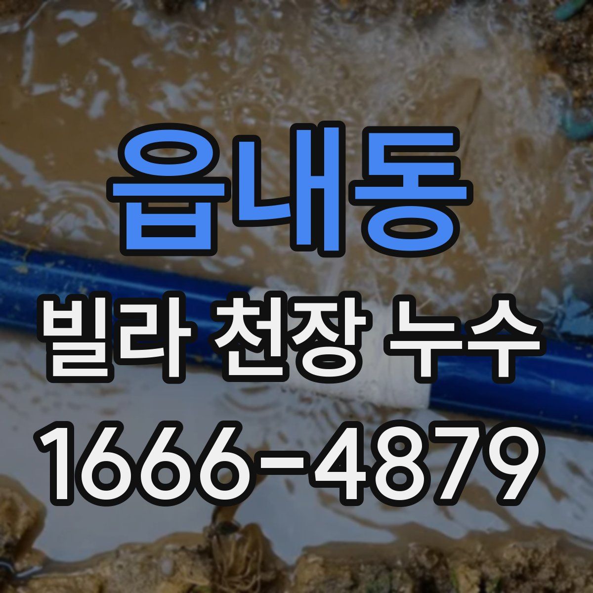 읍내동 빌라 천장 누수