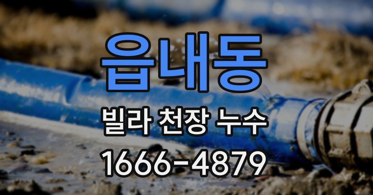 읍내동 빌라 천장 누수