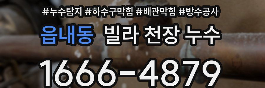 읍내동 빌라 천장 누수