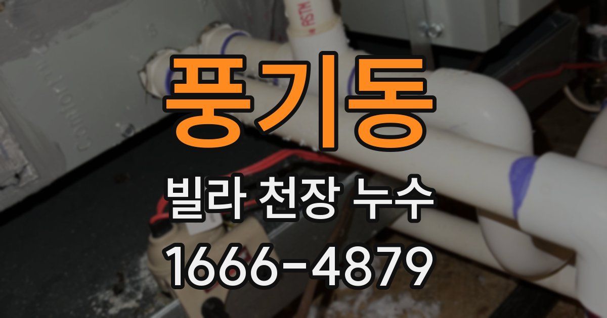 풍기동 빌라 천장 누수