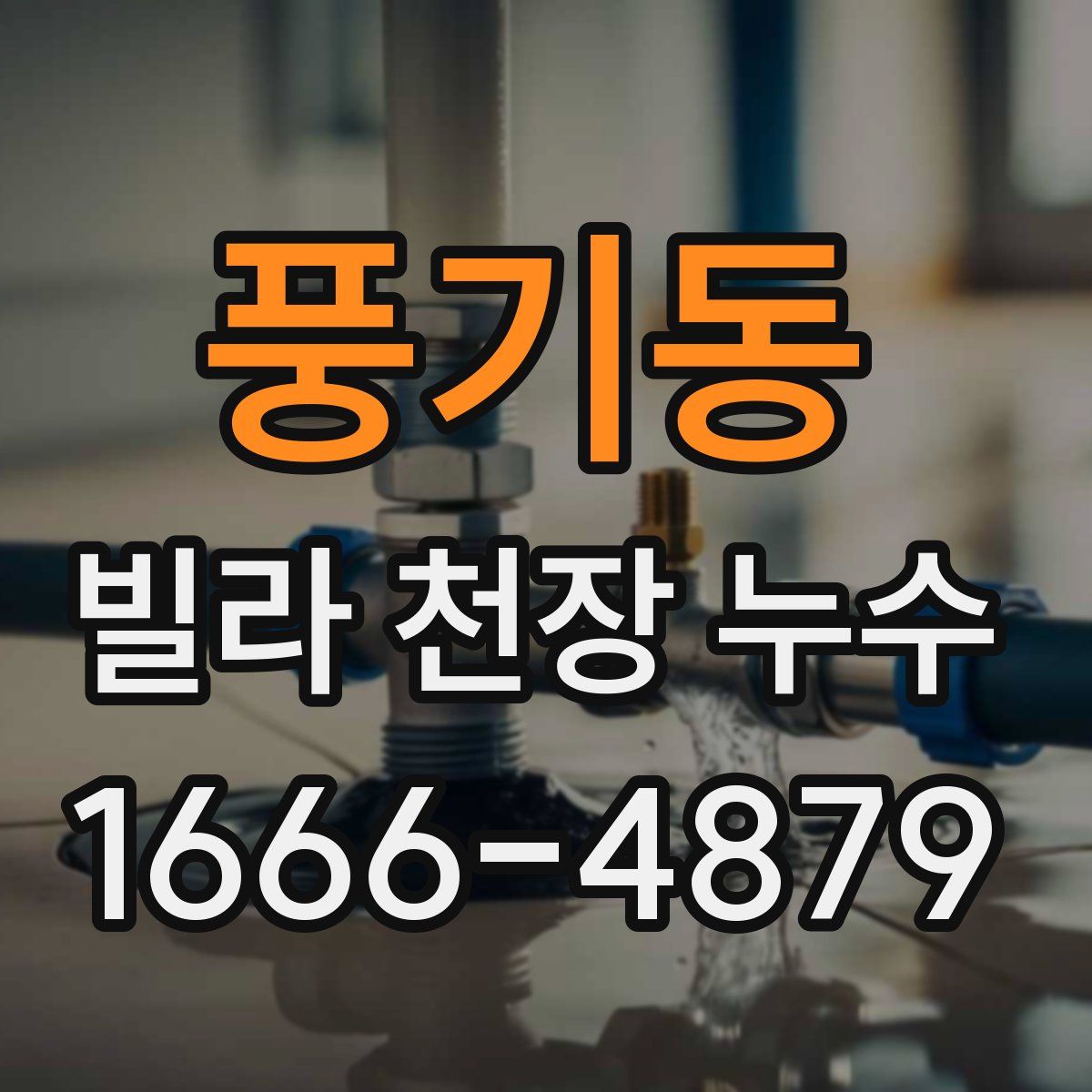 풍기동 빌라 천장 누수
