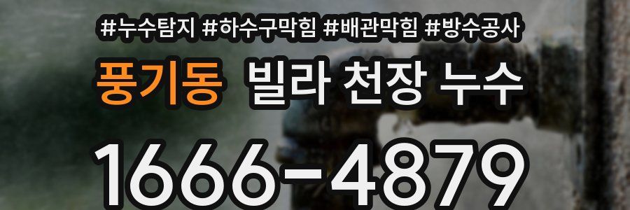 풍기동 빌라 천장 누수