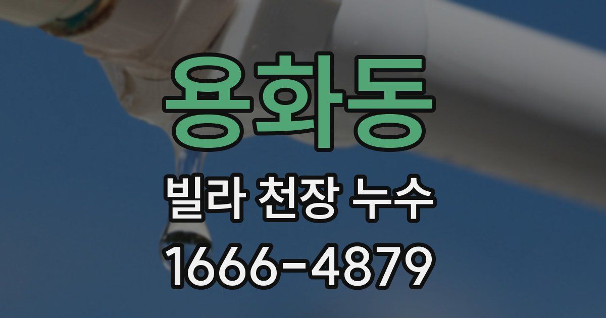 용화동 빌라 천장 누수