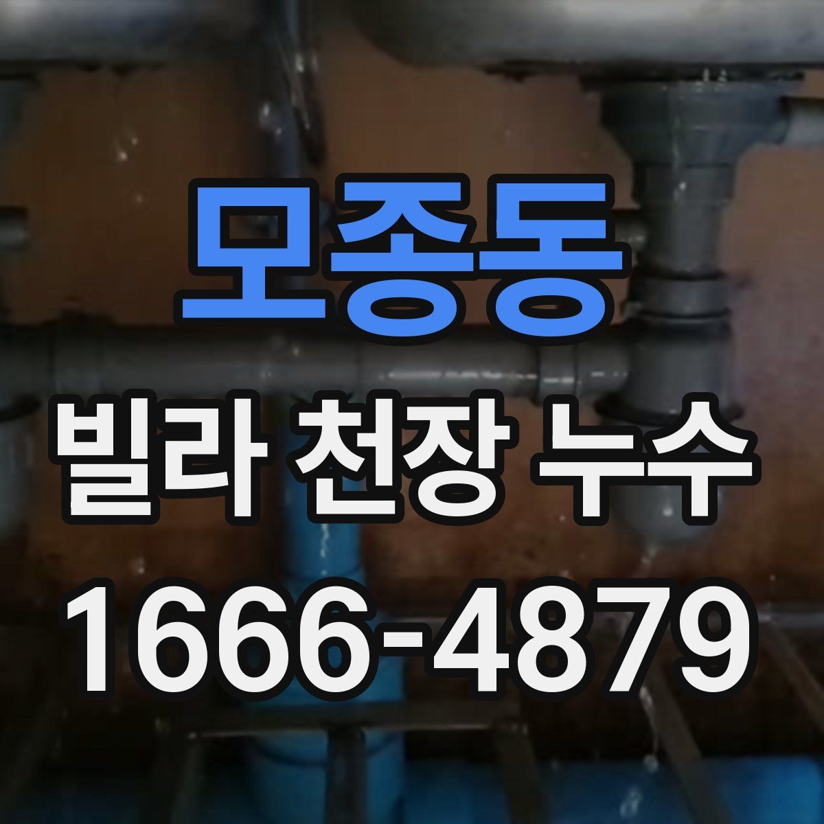 모종동 빌라 천장 누수