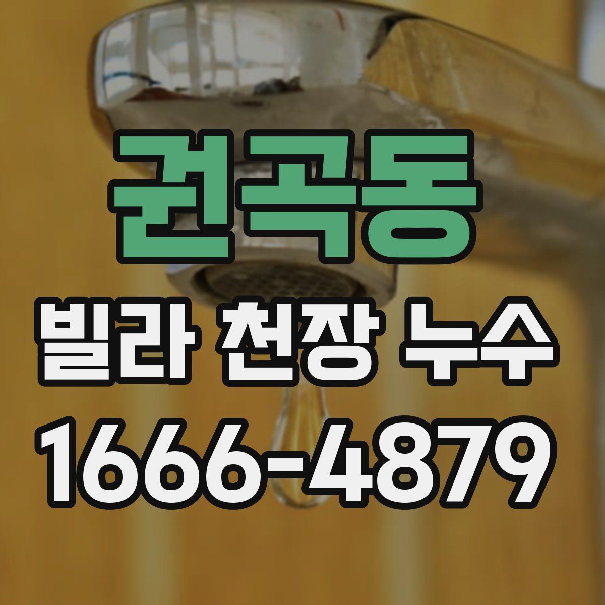 권곡동 빌라 천장 누수