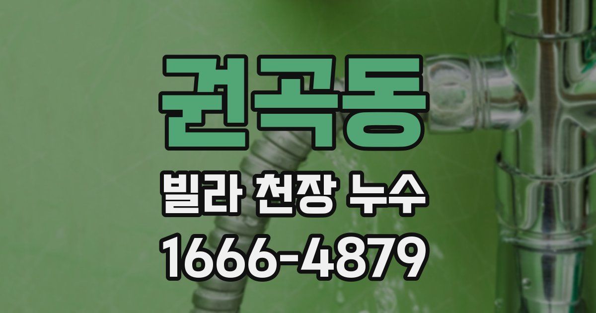 권곡동 빌라 천장 누수