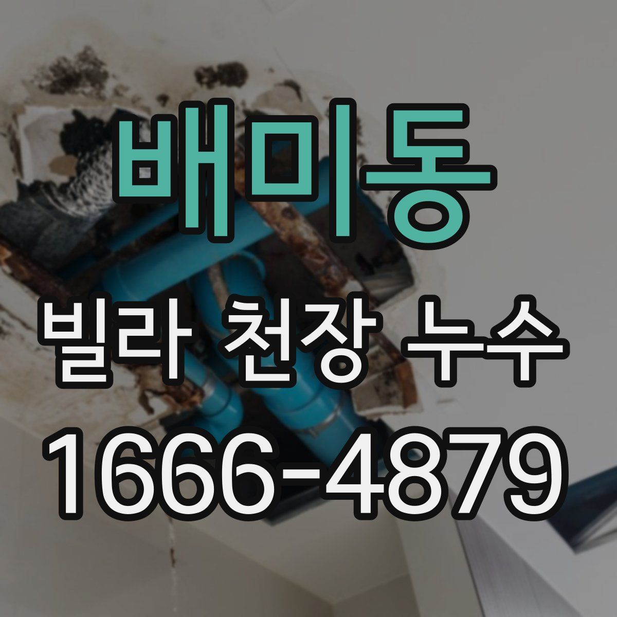 배미동 빌라 천장 누수