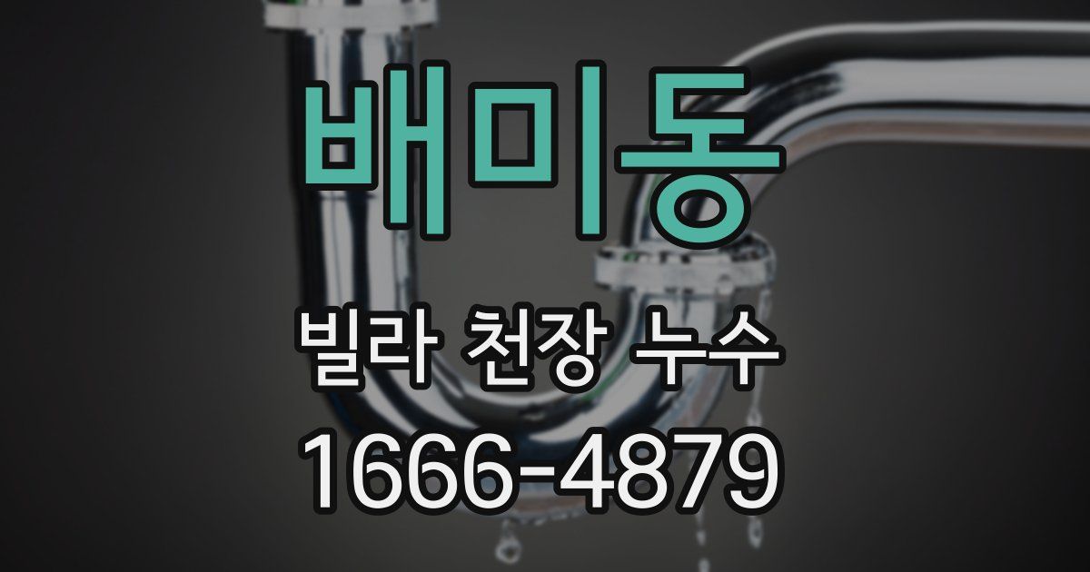 배미동 빌라 천장 누수