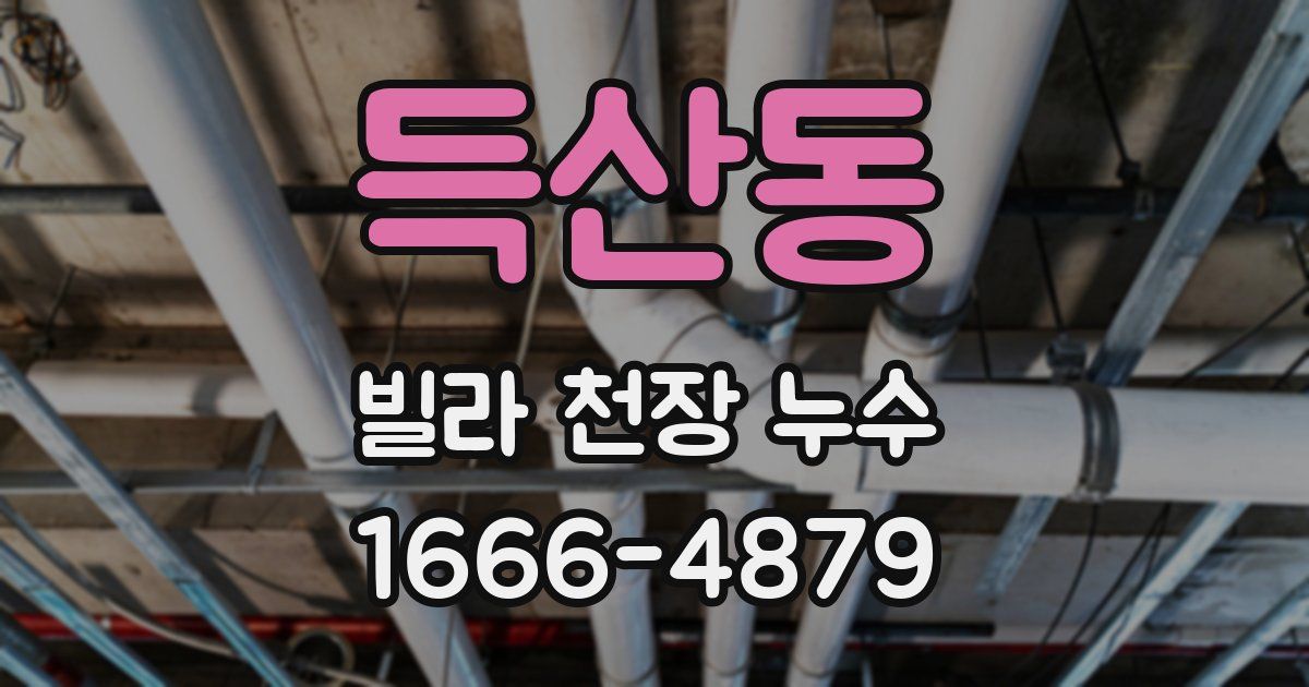 득산동 빌라 천장 누수