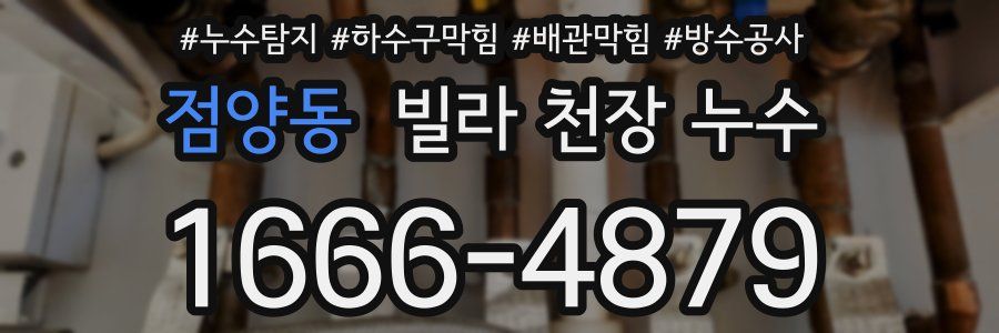 점양동 빌라 천장 누수