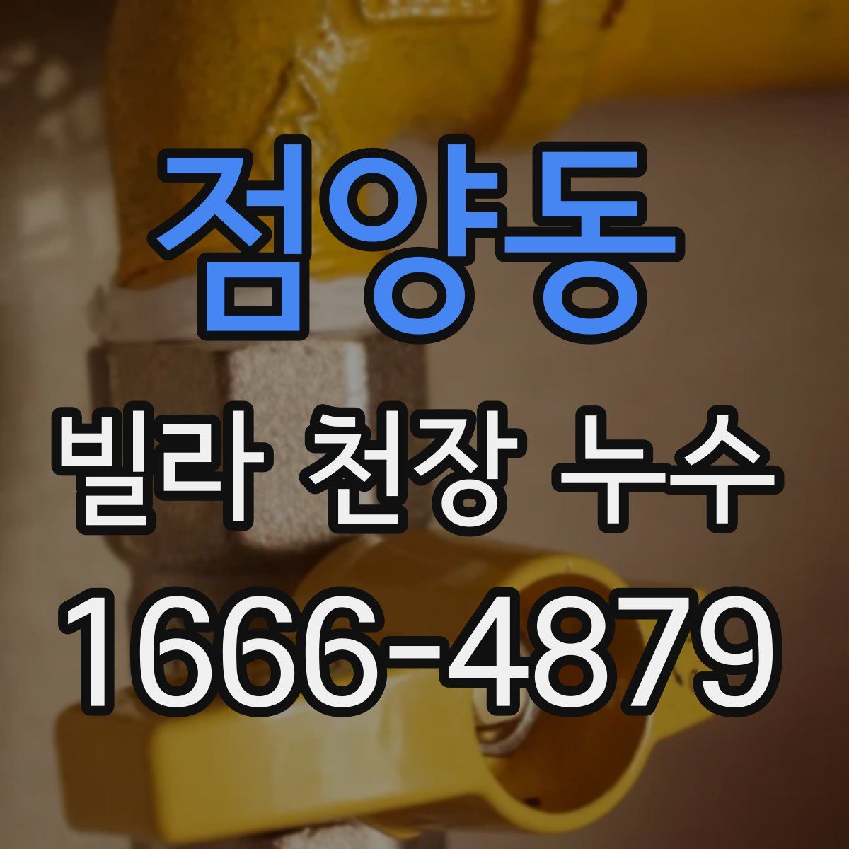 점양동 빌라 천장 누수
