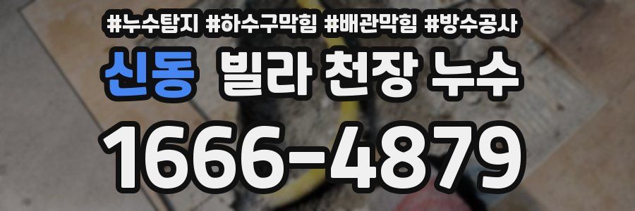 신동 빌라 천장 누수